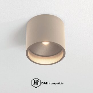 Artdelight Dali Plafondlamp Orleans - Champagne