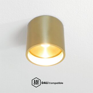 Artdelight Dali Plafondlamp Orleans - Goud