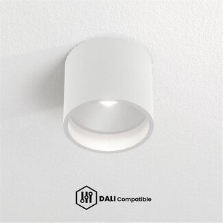 Artdelight Dali Plafondlamp Orleans - Wit