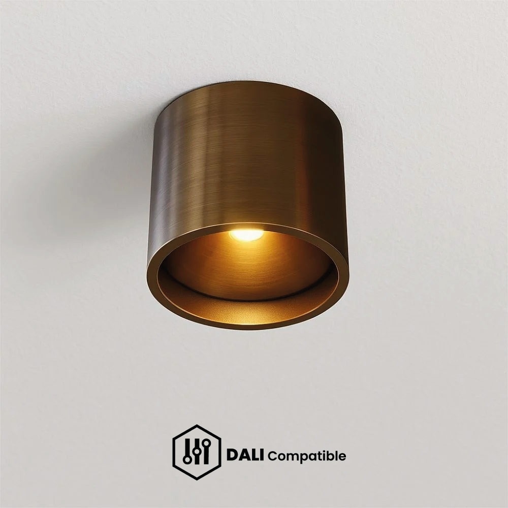 Dali Plafondlampen en Plafondverlichting