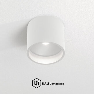 Artdelight Dali Plafondlamp Ormond - Wit