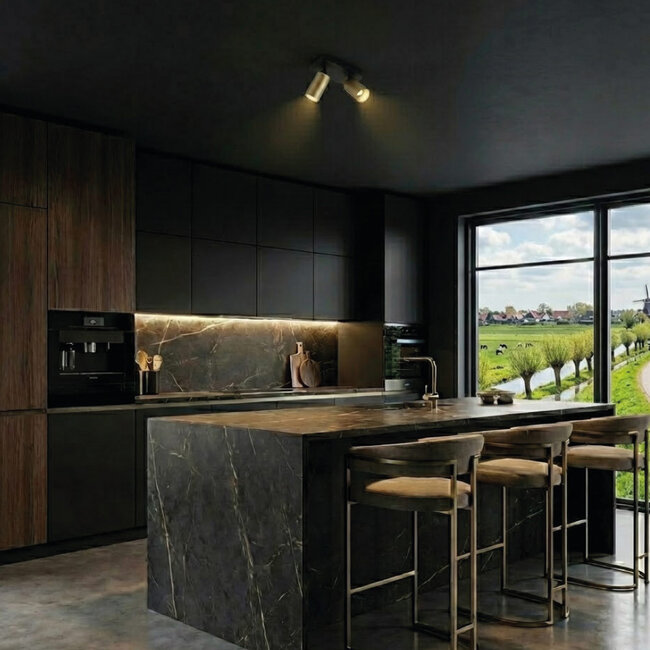 HELDR! Plafondlamp Ivy 2L - Zwart/Champagne