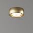 Artdelight Plafondlamp Montana - Goud