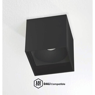 Artdelight Dali Plafondlamp Brock - Zwart