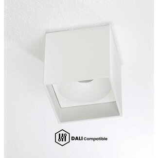 Artdelight Dali Plafondlamp Brock - Wit