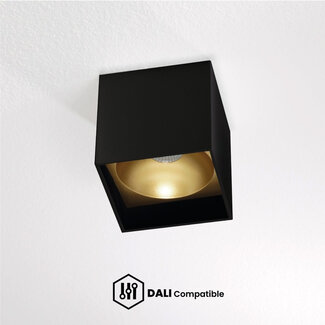Artdelight Dali Plafondlamp Brock - Zwart/Mat Goud