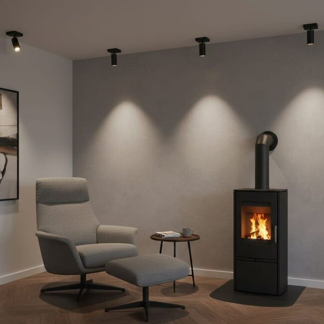 HELDR! Plafondlamp Ivy 1L - Zwart