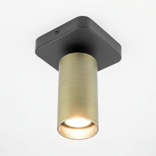 HELDR! Plafondlamp Ivy 1L - Zwart/Antiek Brons