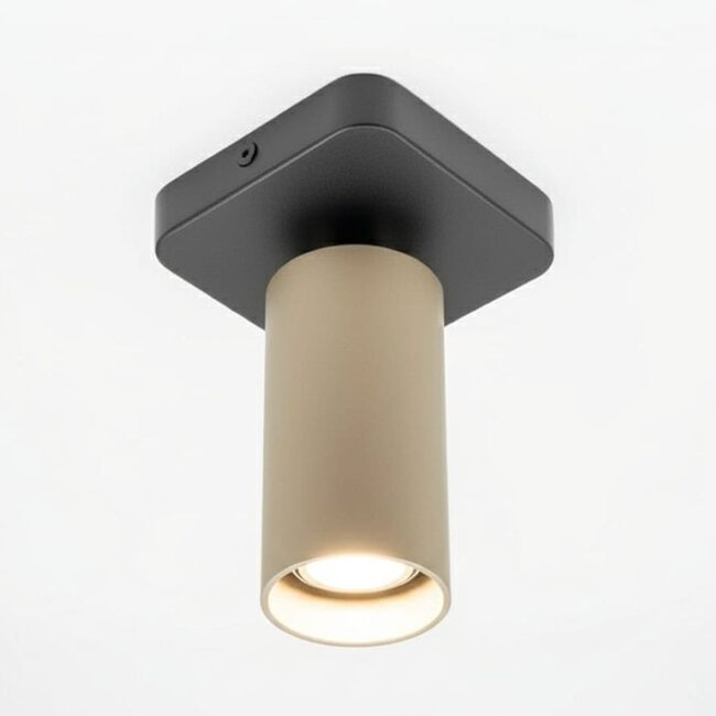 HELDR! Plafondlamp Ivy 1L - Zwart/Champagne