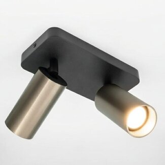 HELDR! Plafondlamp Ivy 2L - Zwart/Gun Metal