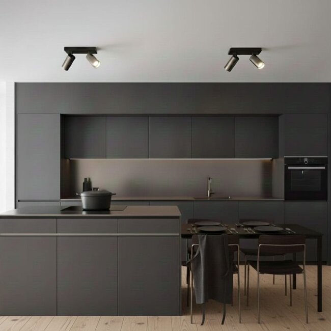 HELDR! Plafondlamp Ivy 2L - Zwart/Gun Metal