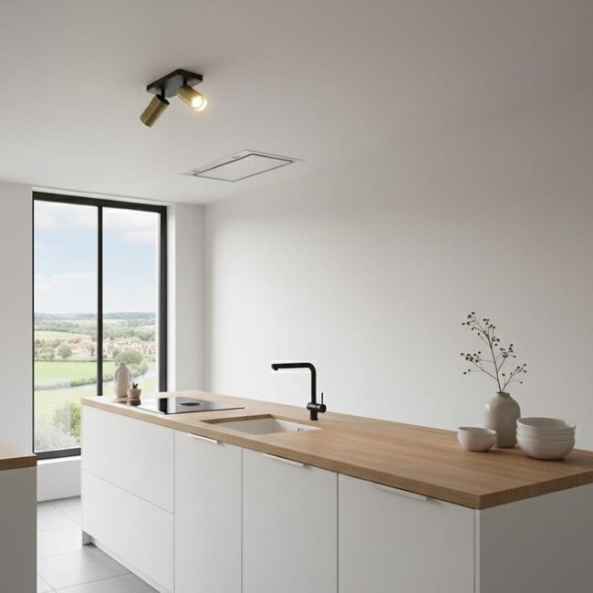 HELDR! Plafondlamp Ivy 2L - Zwart/Antiek Brons