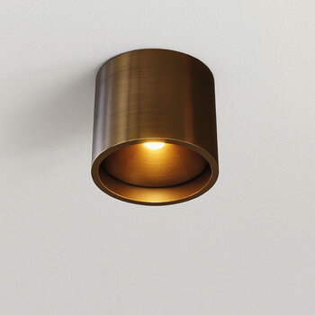 Plafondlampen met Dim to Warm