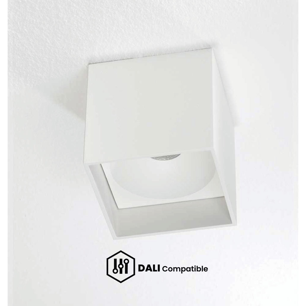 Witte DALI Plafondlampen