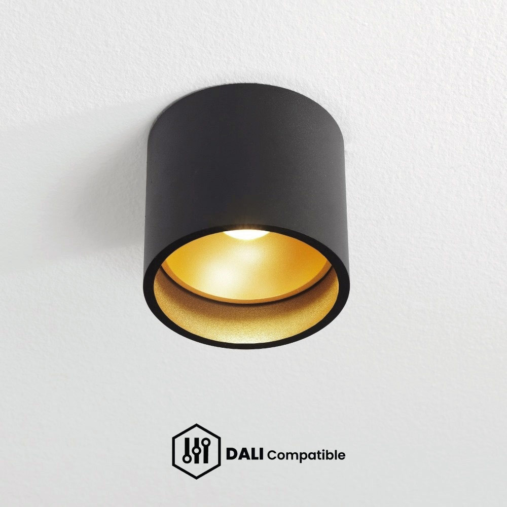 DALI LED Plafondlampen