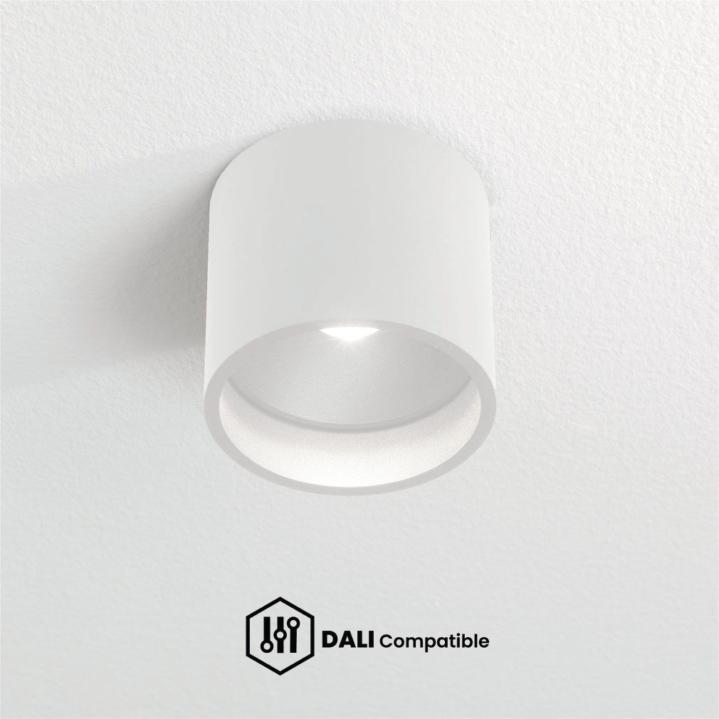DALI Plafondlampen voor Buitenruimtes