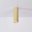 Lighting Collection Plafondlamp Anna - Goud