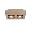Artdelight Plafondlamp Bosco 2L - Champagne