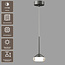 Artdelight Hanglamp Phoenix - Staalgrijs