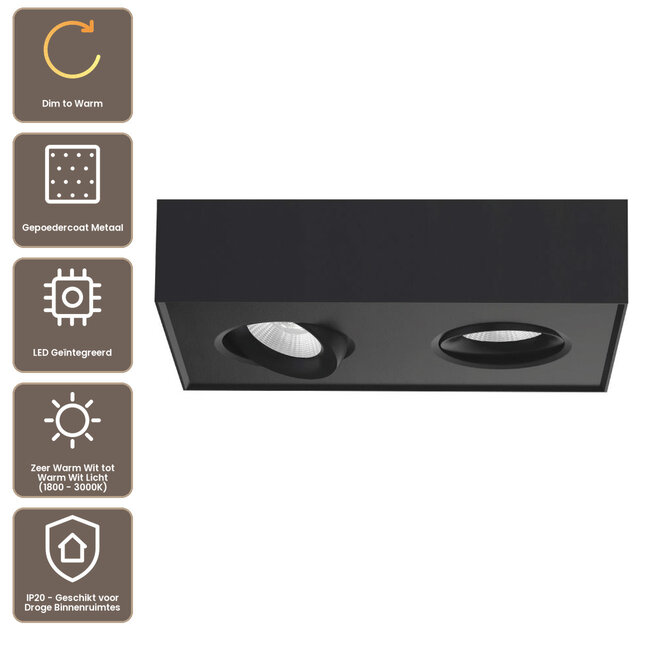 Artdelight Plafondlamp Brooklyn 2L - Zwart - Dim To Warm