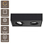 Artdelight Plafondlamp Brooklyn 2L - Zwart - Dim To Warm
