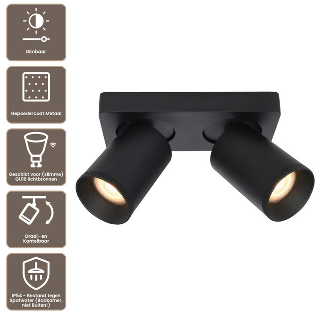 Artdelight Plafondlamp Mega 2L - Zwart