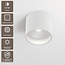 Artdelight Plafondlamp Ormond - Wit