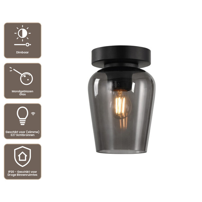 Artdelight Plafondlamp Tombo 12,5cm - Smoke Grijs