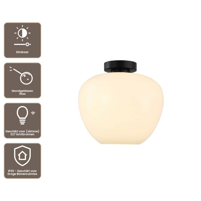 Artdelight Plafondlamp Windsor 29cm - Wit