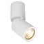Artdelight Plafondlamp Parma - Wit