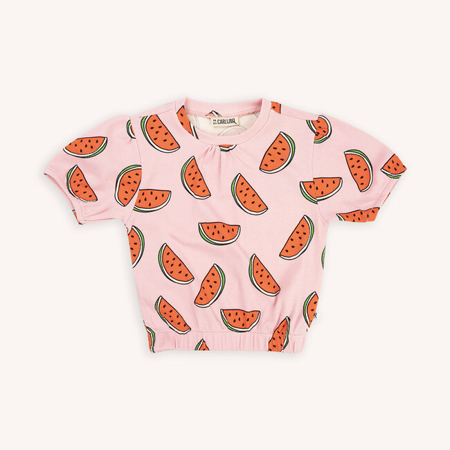 Carlijn  Q Tshirt Puffed Short Sleeve Watermeloen