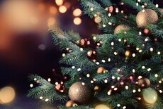 Openingstijden kerstdagen 2024