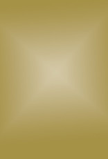 Siser Easyweed flexfolie gold 020 antiek goud op 30cm breedte Siser Easyweed flexfolie gold 020 antiek goud op 30cm breedte