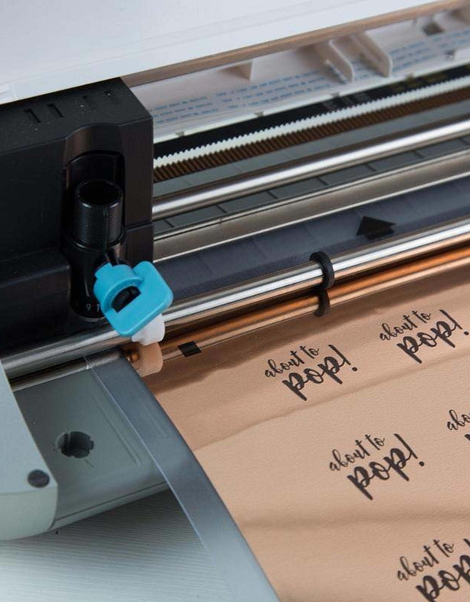 Silhouette rose-gold foil stickers