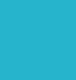 Siser Flexfolie  Oceaan blauw 66 op 30cm hoog  per 10cm