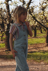 Iris May Georgette overall  - Iris May