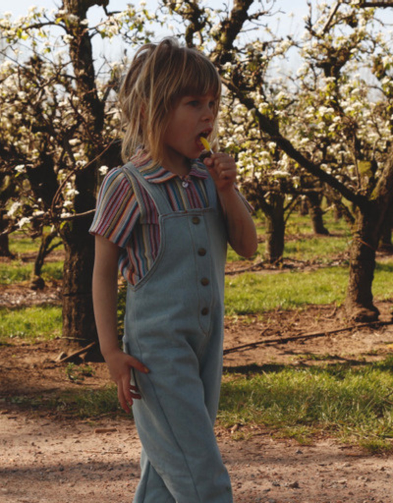 Georgette overall  - Iris May