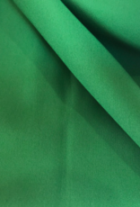 Punta di roma  grasgroen Punta di roma  grasgroen