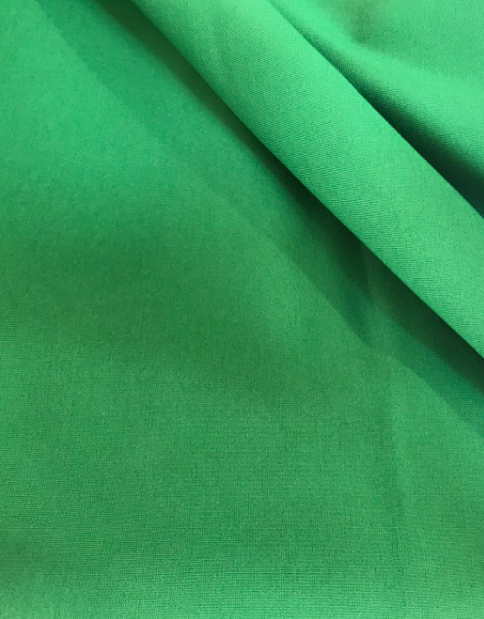 Punta di roma  grasgroen