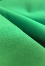 Punta di roma  grasgroen Punta di roma  grasgroen