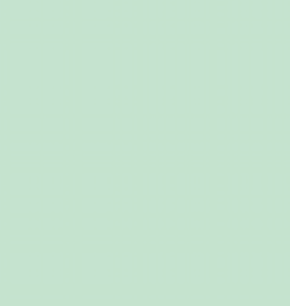 Siser Easyweed flexfolie mint 068 munt op 30cm breedte