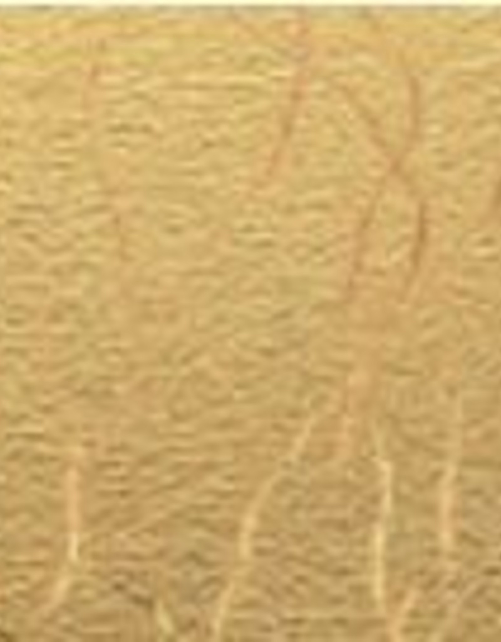 Vinyl superior Textured Metallic oudgoud op 30.5cm