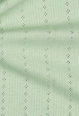 Pointoille zacht groen