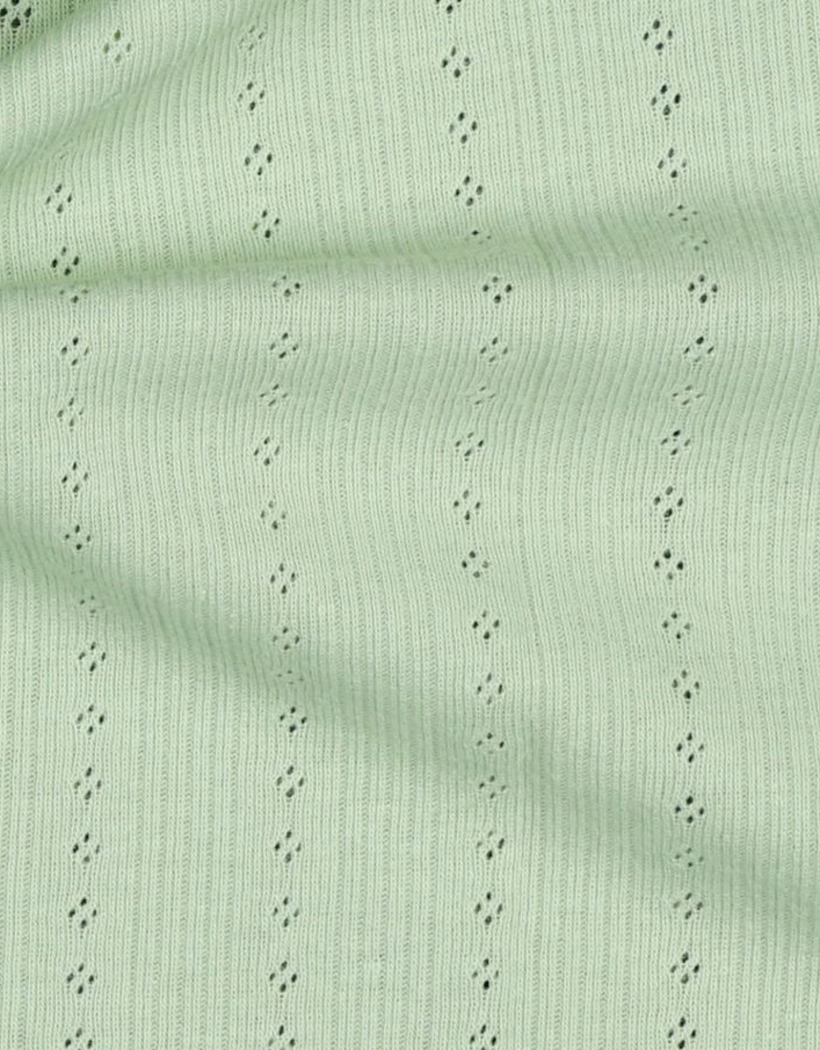 Pointoille zacht groen