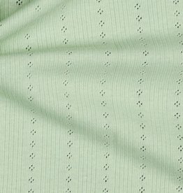 Pointoille zacht groen