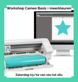 workshop Workshop Cameo basis + meerkleurige bedrukking in flex 03/02