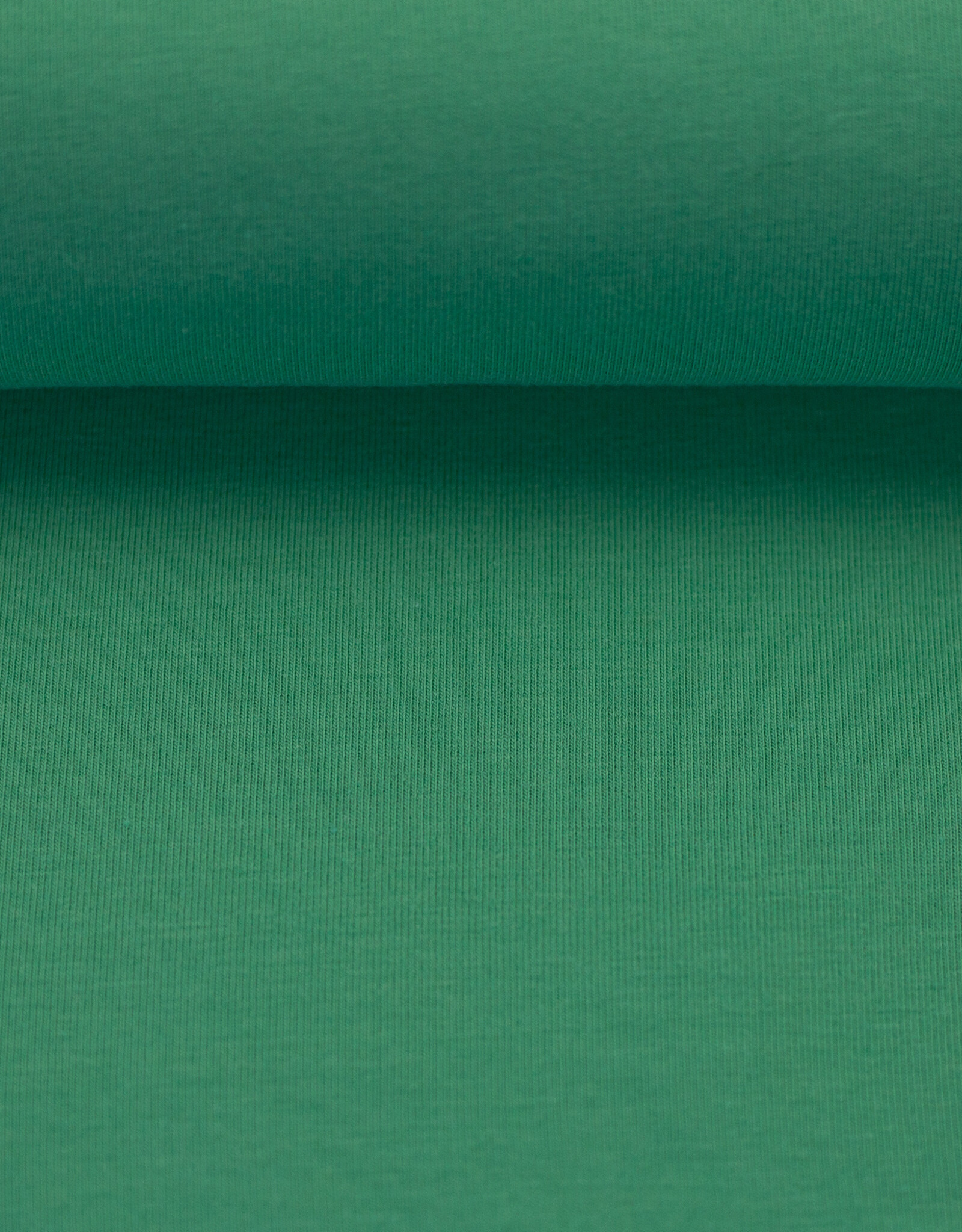 swafing French Terry uni  pastel groen