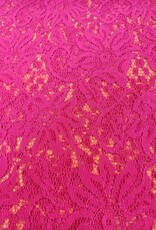 Kant grote bloem  fuchsia Kant grote bloem  fuchsia