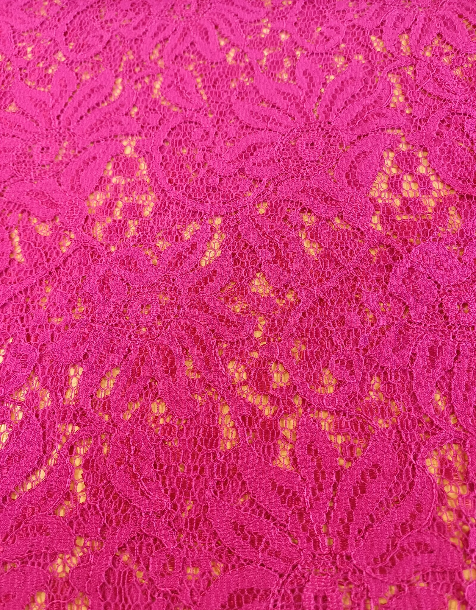 Kant grote bloem  fuchsia