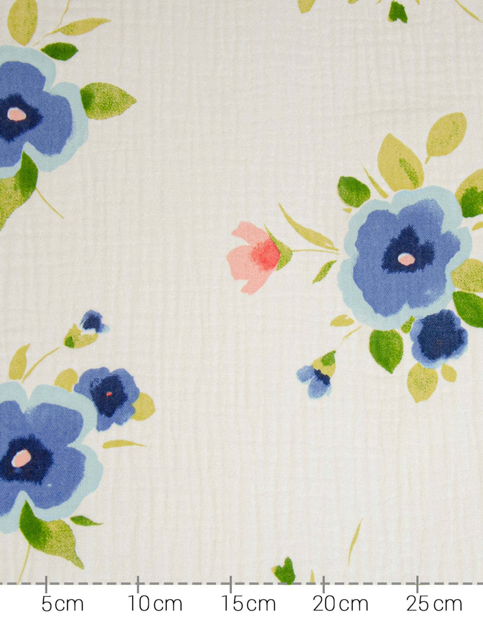Double gauze Peonia  grote blauwe bloem